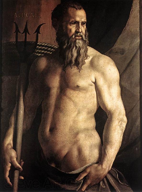 BRONZINO, Agnolo Portrait of Andrea Doria as Neptune df Norge oil painting art